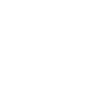 RDX - Leather Training MMA Gloves